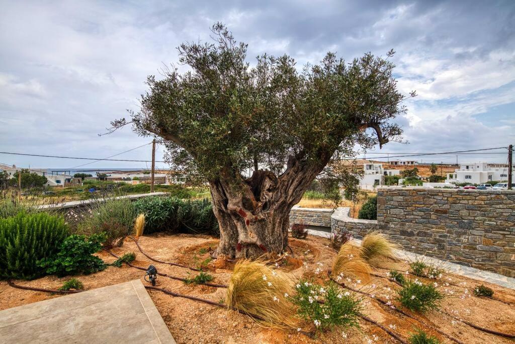 Grand Villa Reve Naousa  Exterior photo