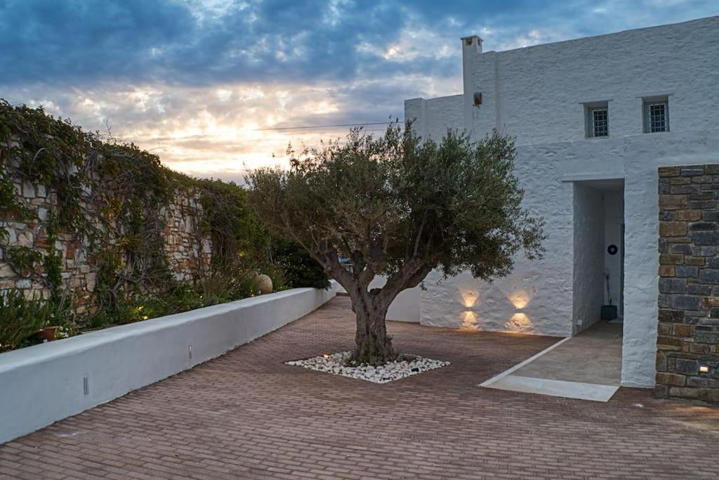 Grand Villa Reve Naousa  Exterior photo